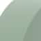 24 Packs: 2 ct. (48 total) FloraCraft® DryFōM® Green Disc
